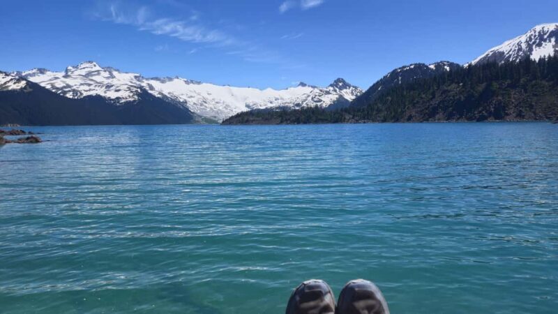 Garibaldi Park: Garibaldi Lake Hiking Tour - The Experience in Numbers