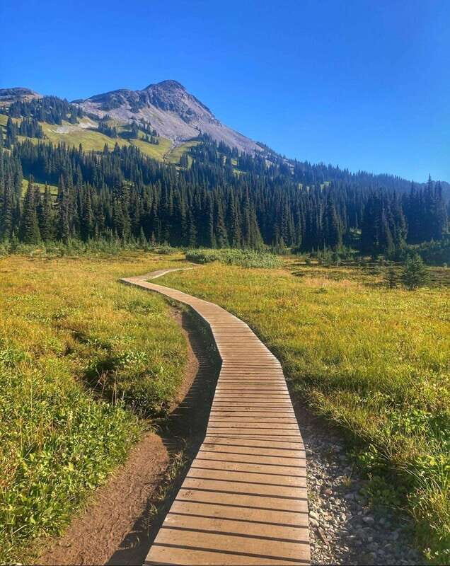 Garibaldi Park/ Panorama Ridge/ Hiking Day Trip - What’s Included and What to Consider