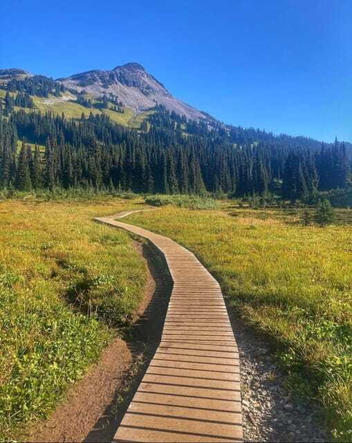Garibaldi Park/ Panorama Ridge/ Hiking Day Trip - Final Thoughts: Who Should Consider This Tour?