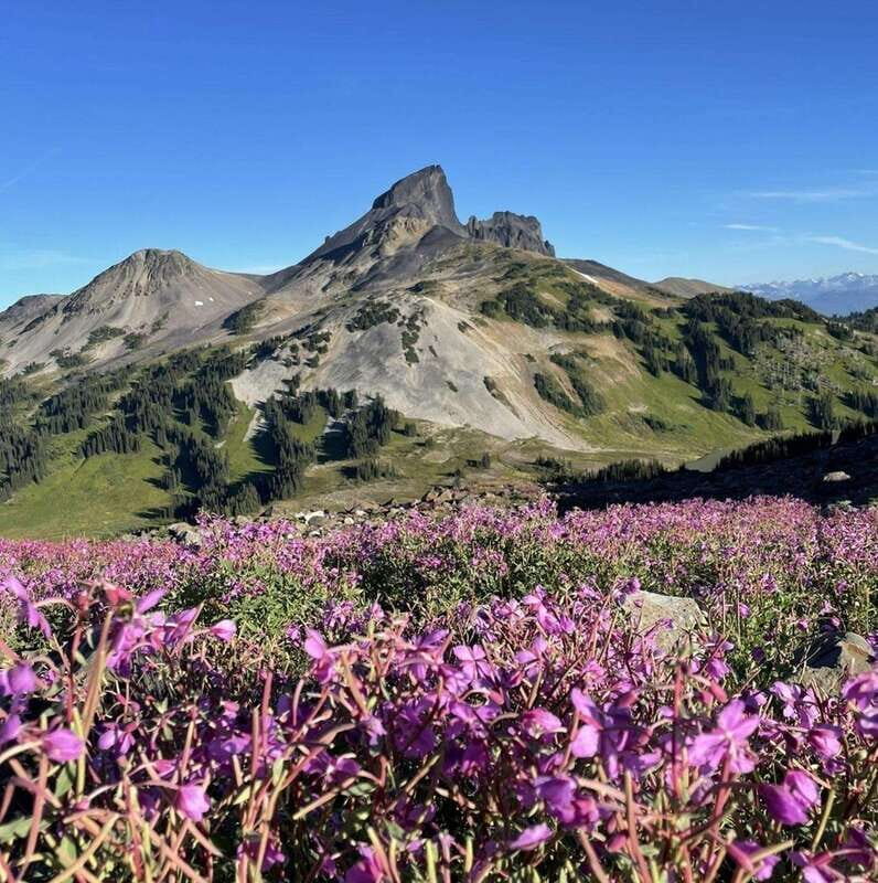Garibaldi Park/ Panorama Ridge/ Hiking Day Trip - FAQ