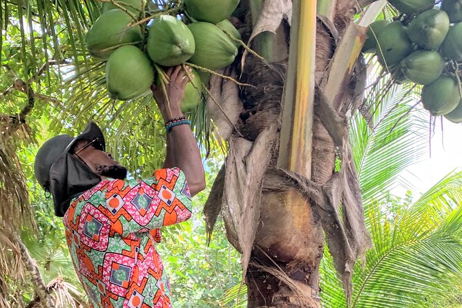 Garifuna Cultural and Culinary Experience in Hopkins Belize - Itinerary and Activities
