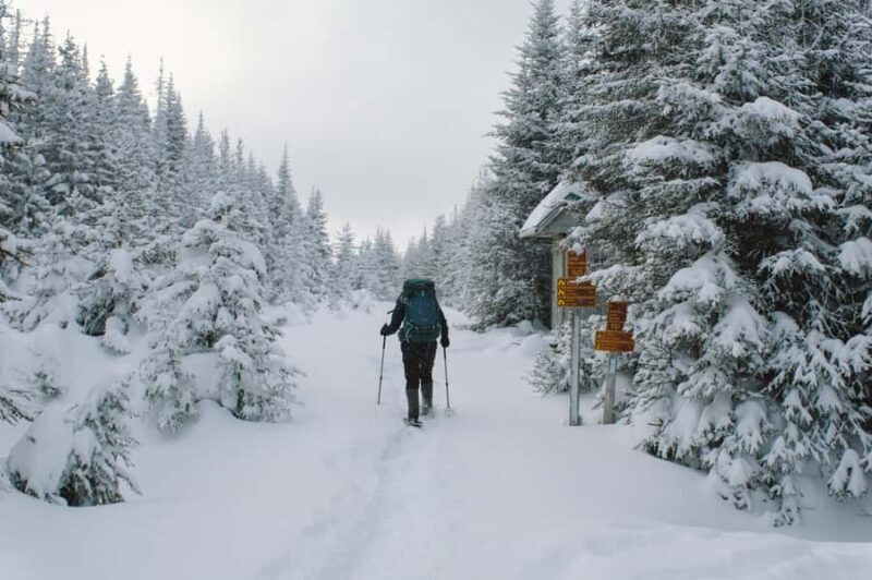 Gaspésie: National Park Entry Ticket with Snowshoe Rental - A Closer Look at the Gaspésie Snowshoe Tour