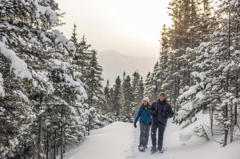 Gaspésie: National Park Entry Ticket with Snowshoe Rental - The Sum Up