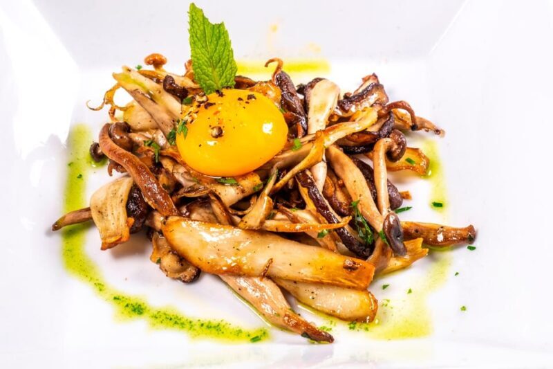 GASTRONOMIC MUSHROOM EXPERIENCE. Tour not included - Key Points