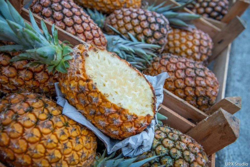 Gastronomic Tour at the Municipal Market of Rio De Janeiro - Cancellation and Flexibility