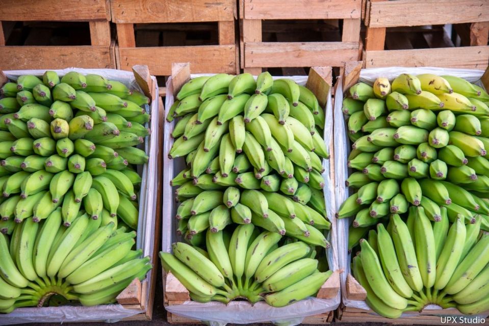 Gastronomic Tour at the Municipal Market of Rio De Janeiro - Local Vendors and Their Offerings