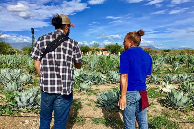 Gastronomy Experience, Culture Mezcal,Tasting & Textiles. Private Tour. - Weaving Demonstration