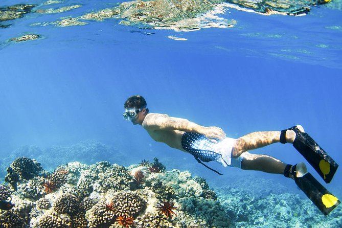 Gates of Heaven at Lempuyang Temple With Blue Lagoon Snorkeling - Important Considerations