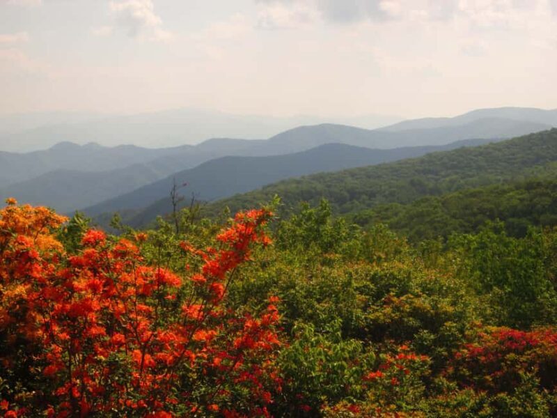 Gatlinburg: Smoky Mountain Appalachian Bald Guided Hike - A Detailed Look at the Itinerary