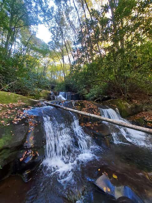 Gatlinburg: Smoky Mountains Fall Foliage Guided Tour - Who Should Consider This Tour?