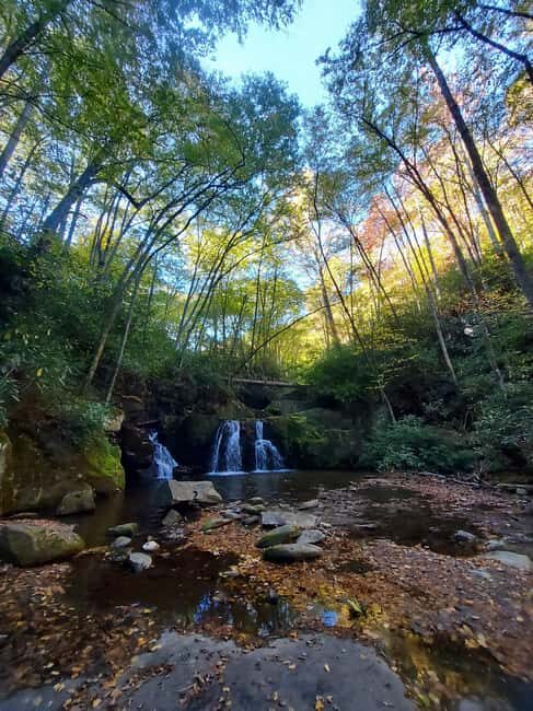 Gatlinburg: Smoky Mountains Fall Foliage Guided Tour - FAQ
