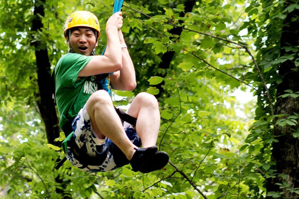 Gatlinburg: Zipline Canopy Tour - Activities and Experiences