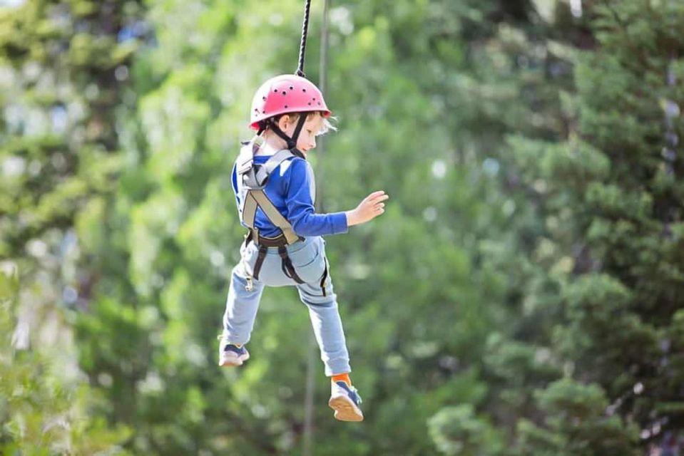 Gatlinburg: Zipline Canopy Tour - Soaring Through the Air