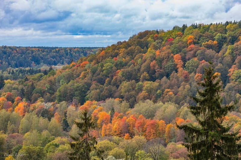 Gauja National Park Guided Hiking Tour - Who Should Consider This Tour?
