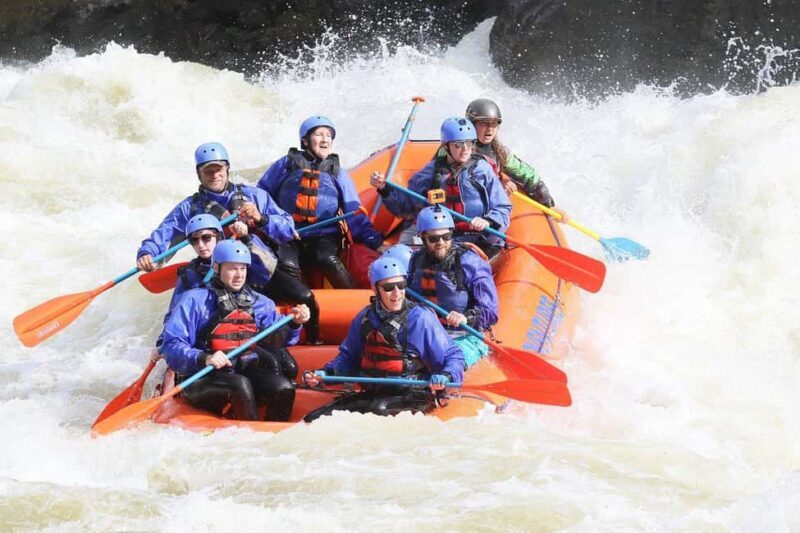 Gauley River: Lower Gauley Full Day Whitewater Rafting Tour - An In-Depth Look at the Gauley River Rafting Experience