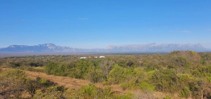 Gauteng to Greater Kruger Shuttle - Experience Highlights