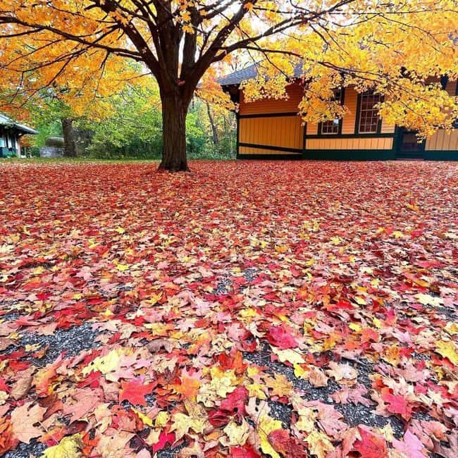 GCV&M Fall 2025 Extended Weekends - Key Points