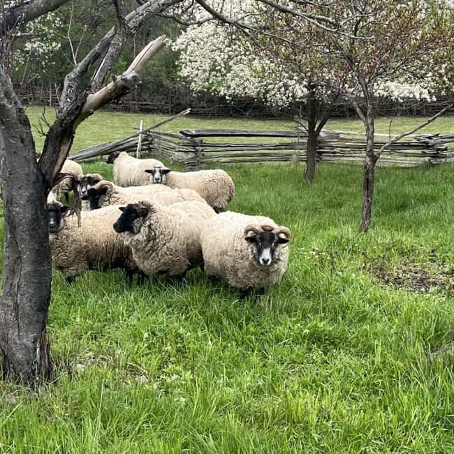 GCV&M Fall 2025 Extended Weekends - Final Thoughts