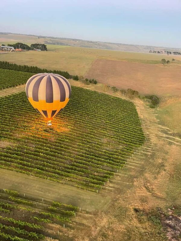 Geelong Hot Air Balloon Flight - An In-Depth Look at the Geelong Hot Air Balloon Experience