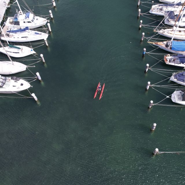 Geelong: Water Bike Coastal Tour - Group Size and Language
