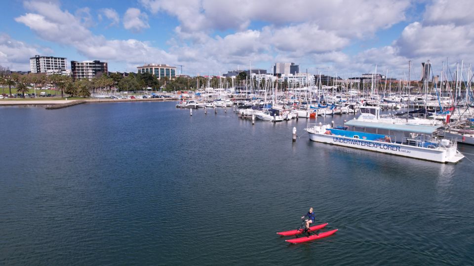 Geelong: Water Bike Coastal Tour - Tour Highlights