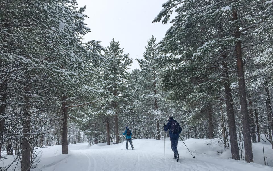 Geilo: Cross-Country Skiing Taster - A Closer Look at the Geilo Cross-Country Skiing Taster  