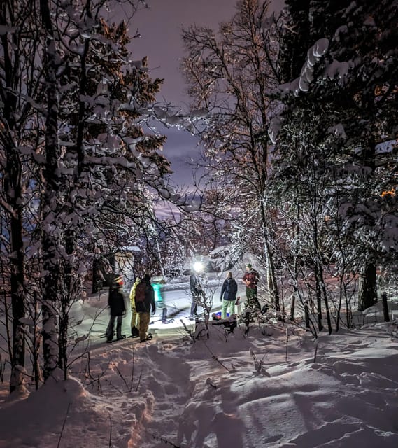 Geilo: Evening family tour with sledge, campfire and fun! - Key Points  