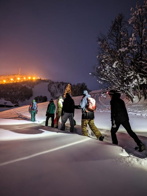 Geilo: Evening family tour with sledge, campfire and fun! - A Practical Guide to the Geilo Evening Family Tour  