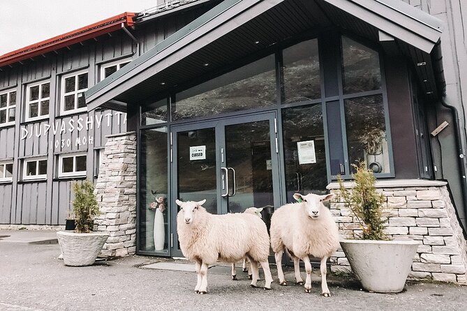 Geiranger: Excursions.no Mount Dalsnibba & Eagles Bend - Meeting and Pickup Information