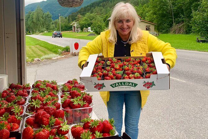 Geiranger-Trollstigen Private Guided Shore Excursion - A Closer Look at the Itinerary