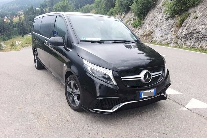 Geneva Airport (GVA) to Lausanne - Arrival Private Transfer - Service Animals