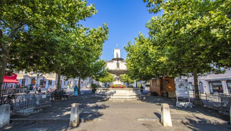 Geneva: Carouge Tour With a Local - Customer Feedback