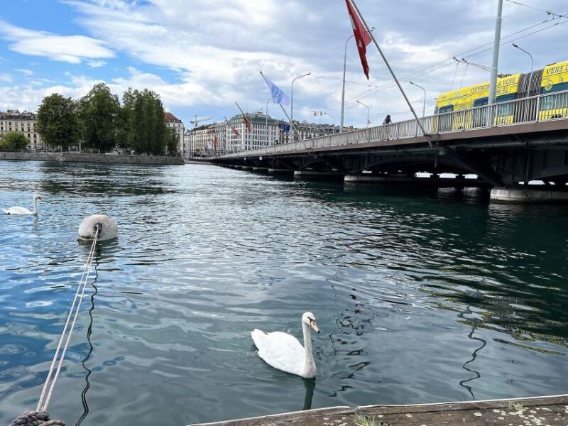 Geneva Complete Tour. Hotel PICK-UP, UN Area & the Old City - Discovering the UN Agencies and International Red Cross
