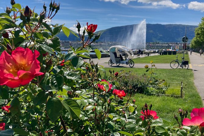 Geneva Highlights Tour by TaxiBike - What to Expect
