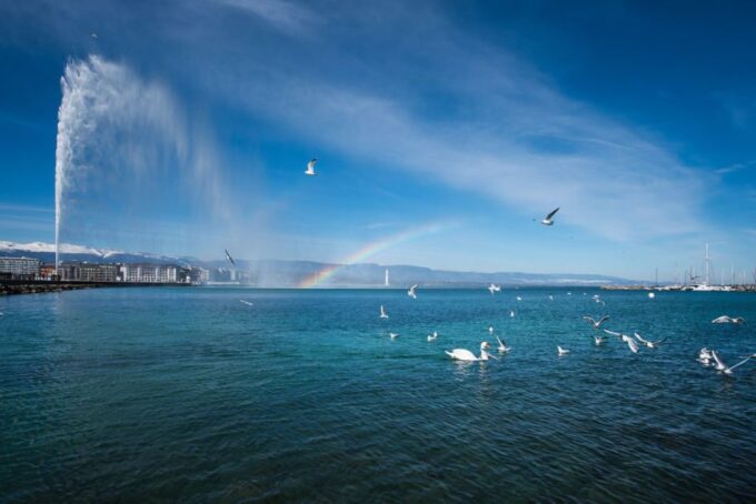 Geneva: International Area & Old Town Guided Bus Tour - Ask Away
