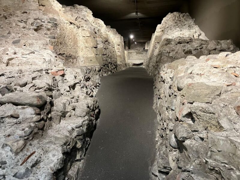 Geneva: United Nations, Old Town and Lake E-Bike Tour - Guided Tour
