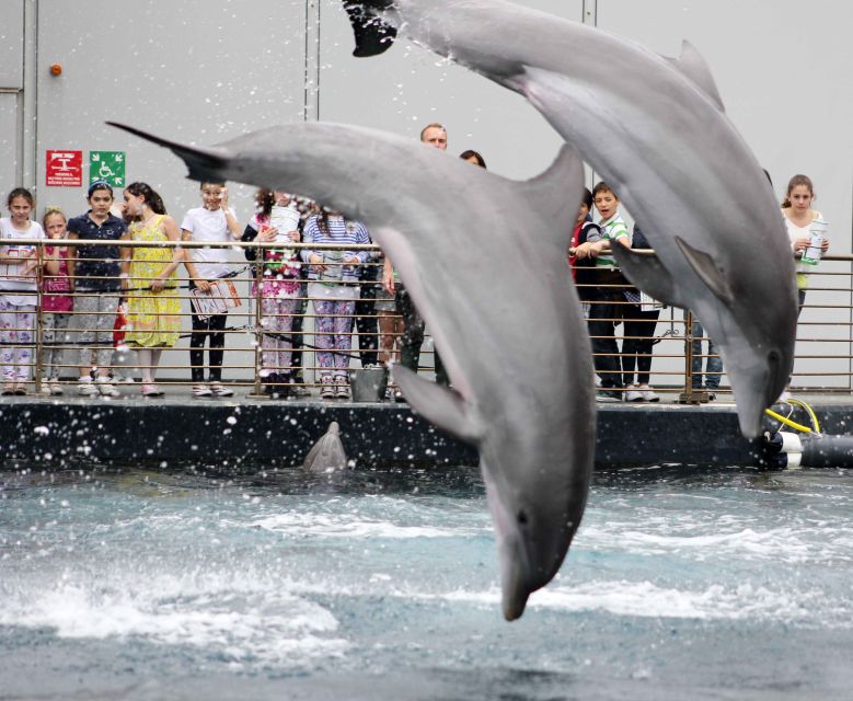 Genoa: Aquarium, Galata Museum and Submarine Entry Tickets - Nearby Attractions to Explore