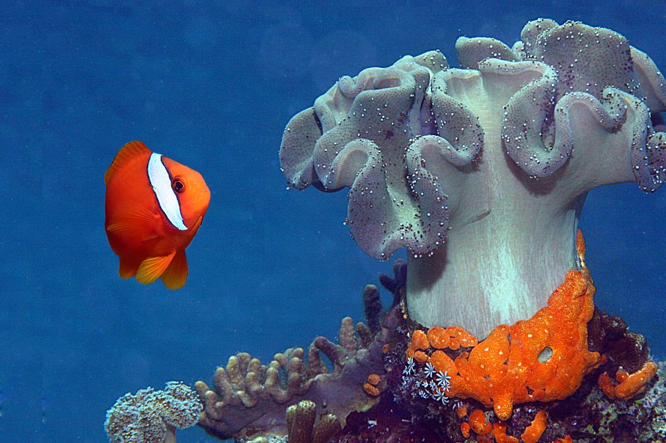 Genoa: Aquarium of Genoa & City of Children and Youth Ticket - Visitor Experience and Ratings