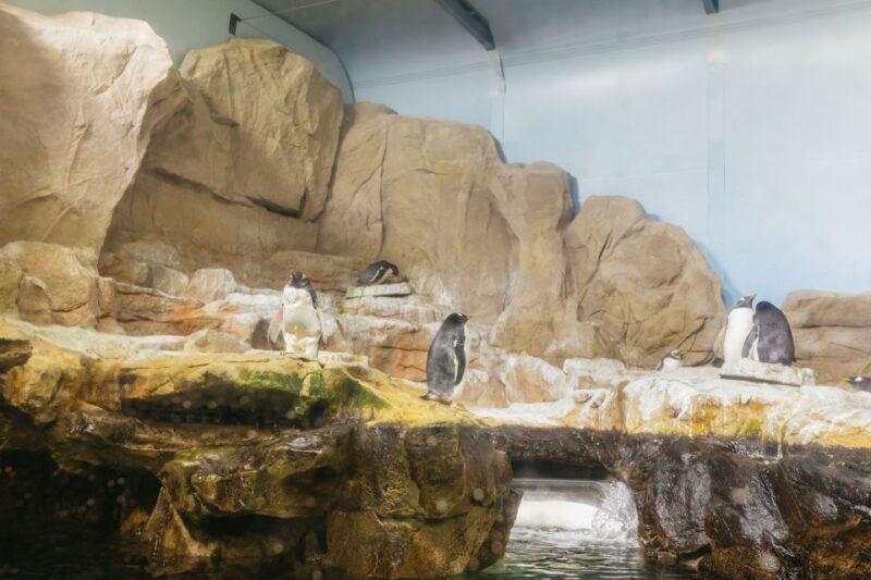 Genoa: Aquarium of Genoa Entry Ticket - Aquarium Highlights
