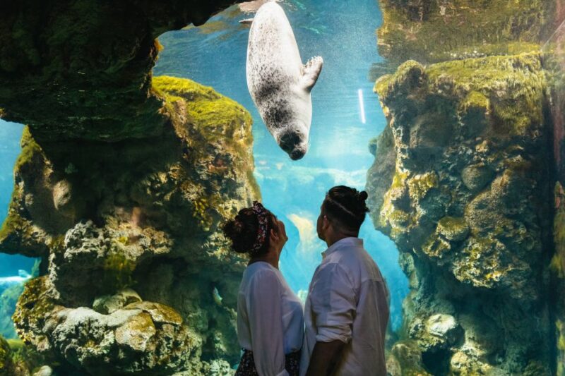 Genoa: Aquarium of Genoa Entry Ticket - Customer Reviews and Ratings