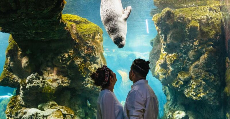 Genoa: Aquarium of Genoa Entry Ticket - Important Information