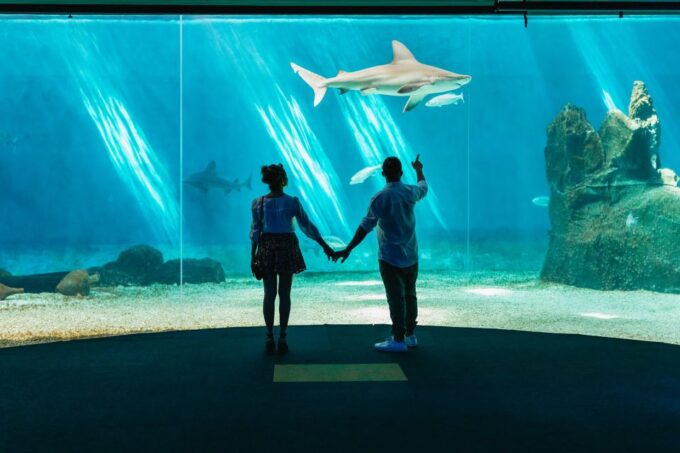 Genoa: Aquarium of Genoa Entry Ticket - Getting to the Aquarium