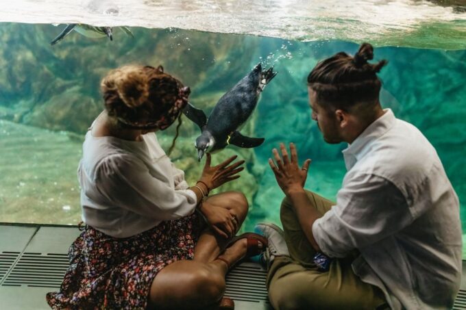 Genoa: Aquarium of Genoa Entry Ticket - What to Expect at the Aquarium