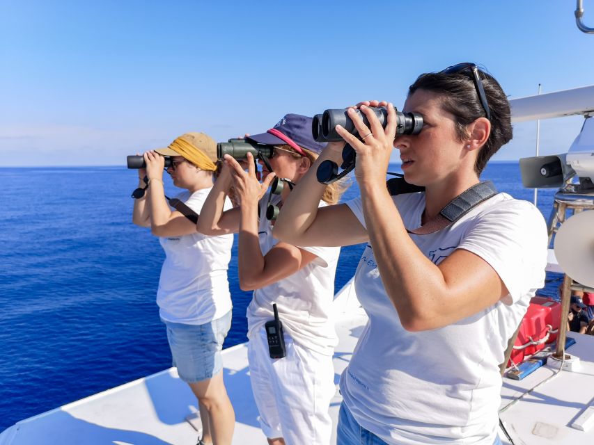 Genoa: Cetacean Watching Cruise With Marine Biologist Guide - Itinerary Highlights