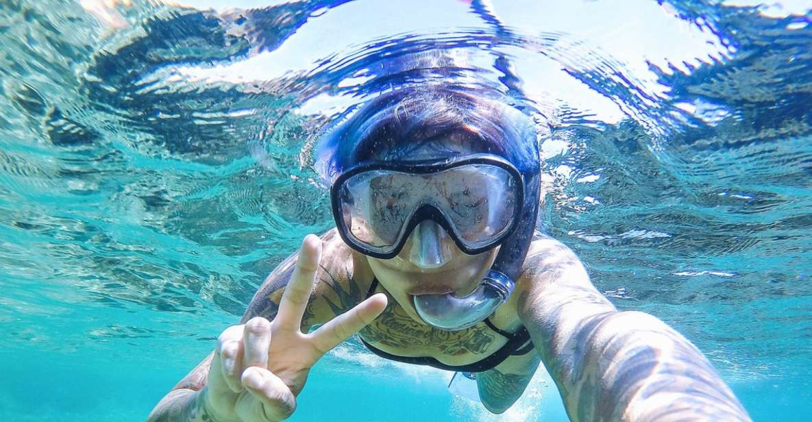 Genoa: Guided Snorkeling Tour in the Ligurian Sea - Experience Highlights