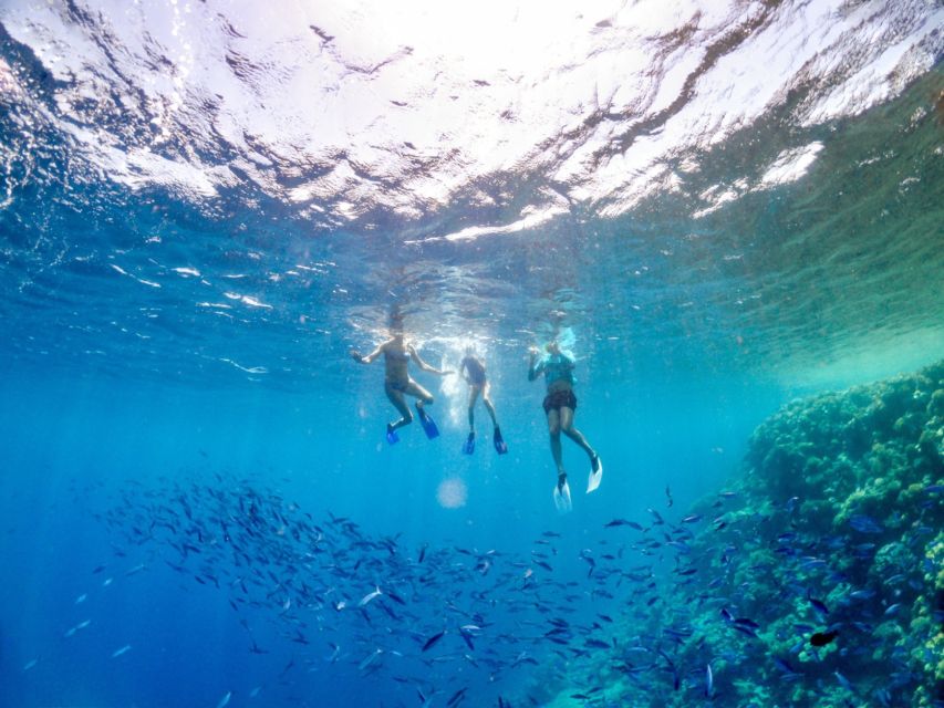 Genoa: Guided Snorkeling Tour in the Ligurian Sea - Frequently Asked Questions