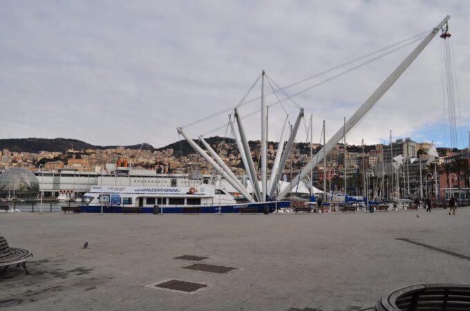 Genoa: Half-Day Tour to Portofino - Tips for a Great Tour