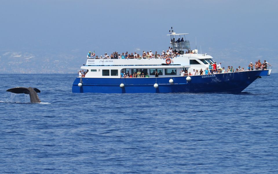 Genoa: Pelagos Sanctuary Whale Watching Cruise - Frequently Asked Questions