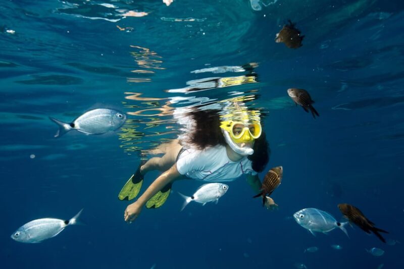 Genoa: Snorkeling tour along the Genoa coastline - What’s Included and What’s Not
