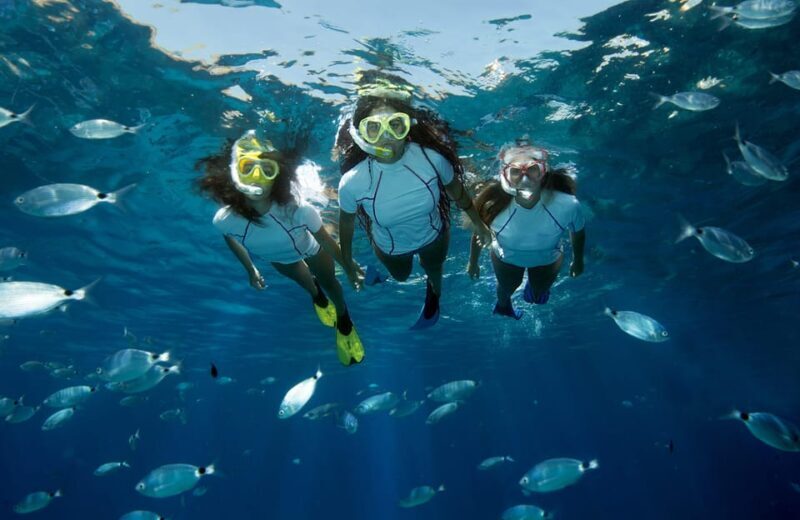 Genoa: Snorkeling tour along the Genoa coastline - The Value of This Experience